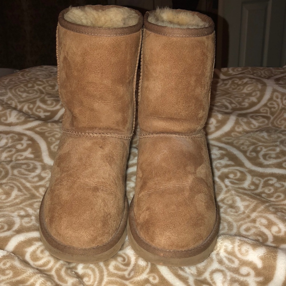 Chestnut UGG Boots